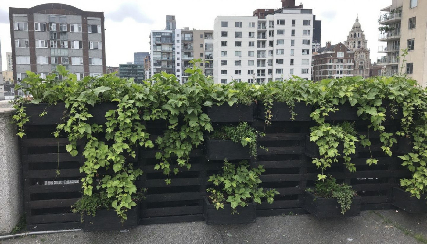 Comment créer un jardin vertical peu entretenu pour petits espaces urbains